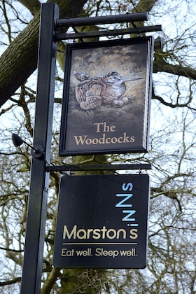 Gallery - Woodcocks