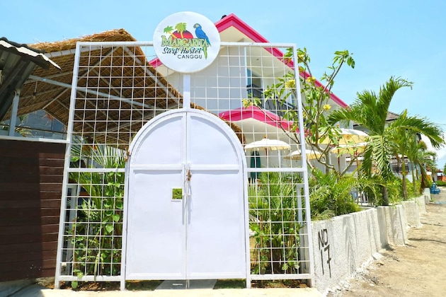 Gallery - Margarita Surf Hostel Canggu