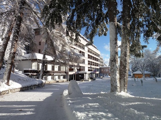 Gallery - Hotel Valaisia Crans-Montana, Faern Collection