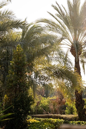 Gallery - Hotel Boutique Hort De Nal