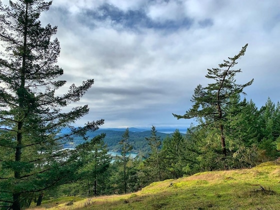 Gallery - Otters Pond Bed & Breakfast