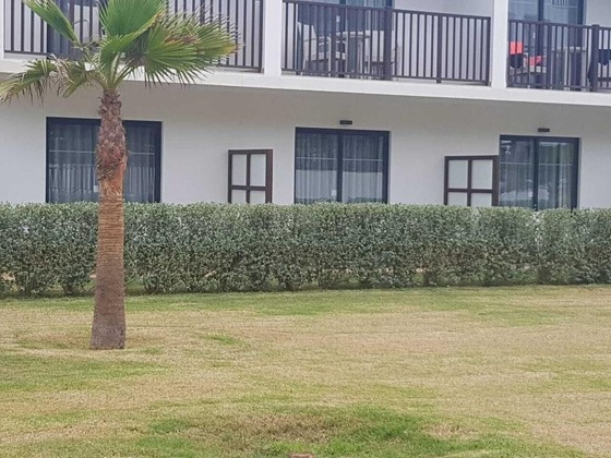 Gallery - Cape Verde Holidays - Llana Beach Resort And Spa