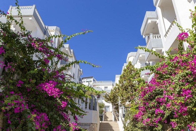 Gallery - Smart Holiday Hotel & Suites -All Inclusive