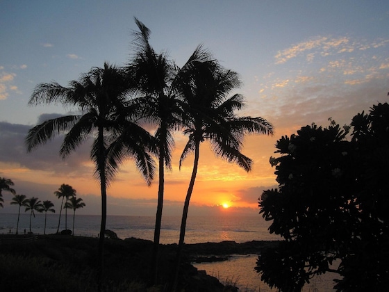 Gallery - Kapalua Bay Villa 28B2 Gold Ocean Front