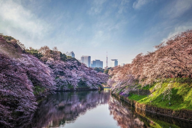 Gallery - Four Seasons Hotel Tokyo At Otemachi