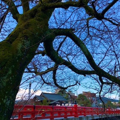 Gallery - Hotel Wood Takayama