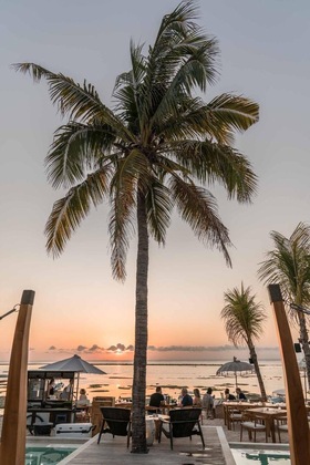 Gallery - Ohana's Beachfront Resort & Beach Club