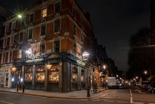 Gallery - Blackbird