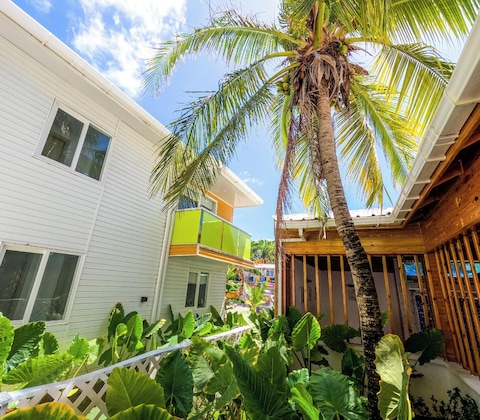 Gallery - Caribbean Coral