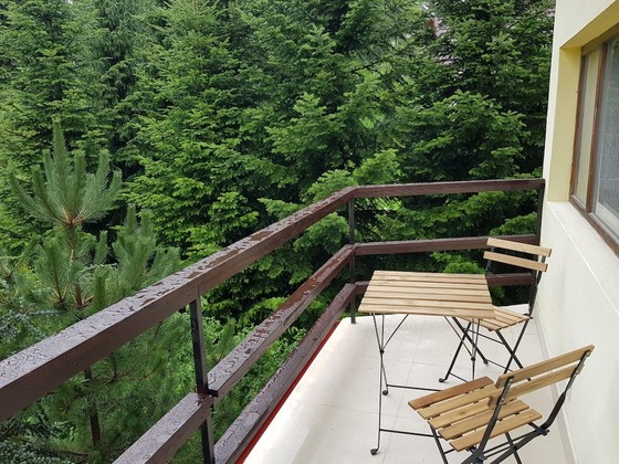 Gallery - Olala Forest Apartments