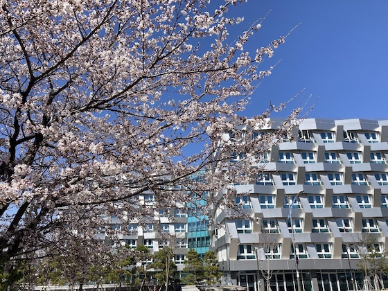 Gallery - Sokcho Marina Bay Hotel