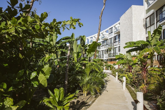 Gallery - The Waves Tulum