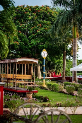 Gallery - Hacienda Yabucu