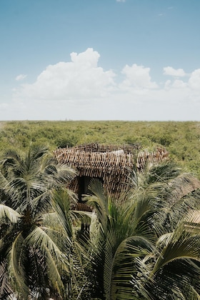 Gallery - Nômade Temple Holbox