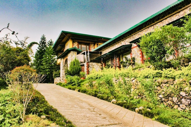 Gallery - Tree Of Life Resort