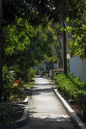 Gallery - Grand Muthu Runaway Bay Club Caribbean - All Inclusive