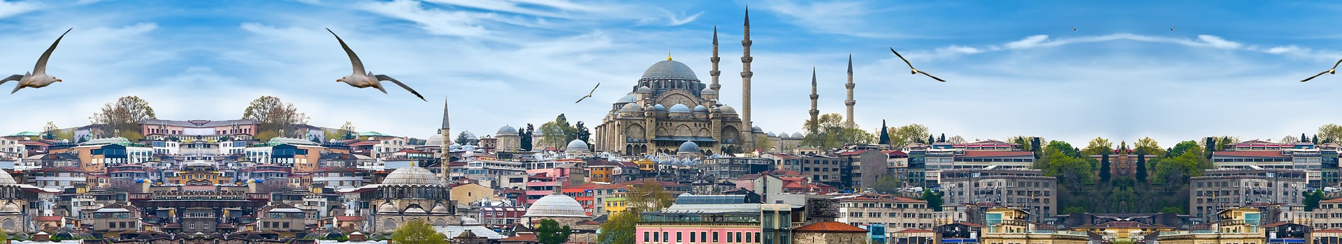 Viaggi Brevi **Dicembre** **Istanbul**
