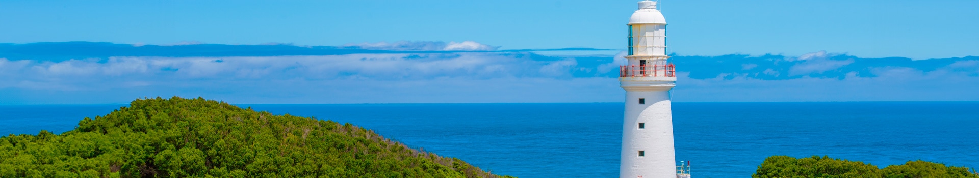 Fly And Drive Cape Otway Vic