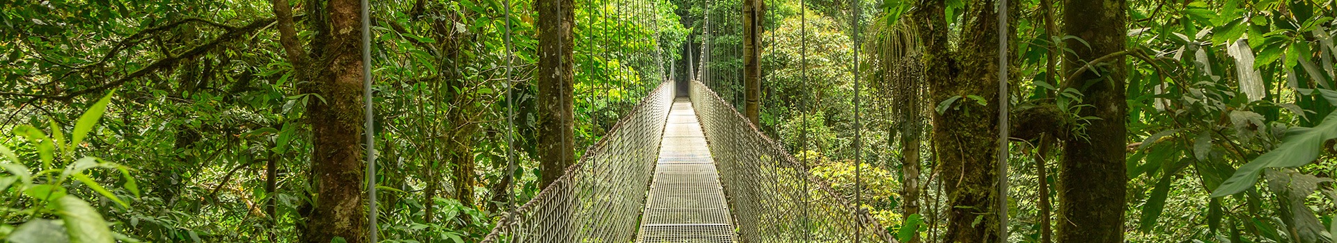 Fly & Drive Monteverde Offerta Lampo