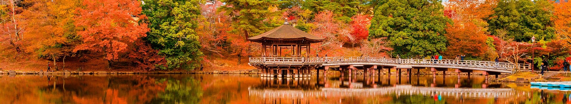 Tour Nara Agosto