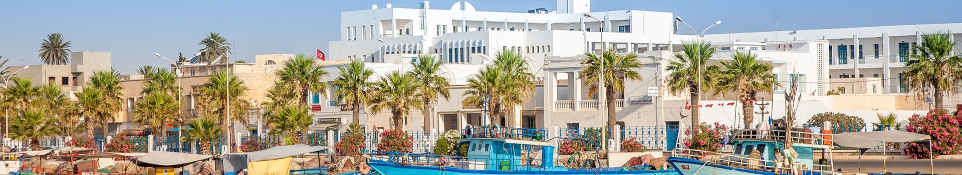 Tour Hammamet Estate
