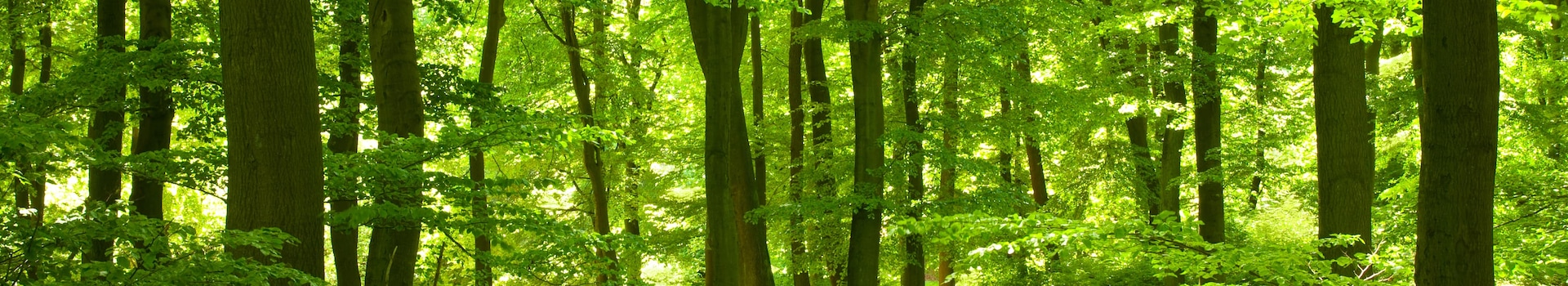 Viaggi brevi **Weekend Natura**