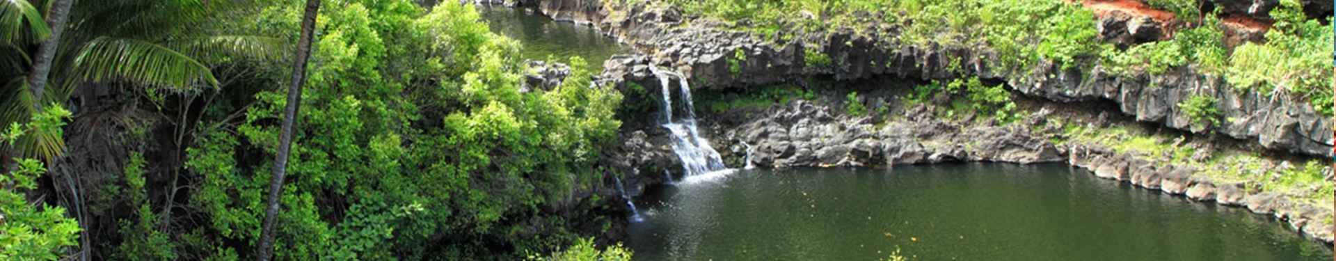 Honolulu (O'ahu), Kauai e Maui