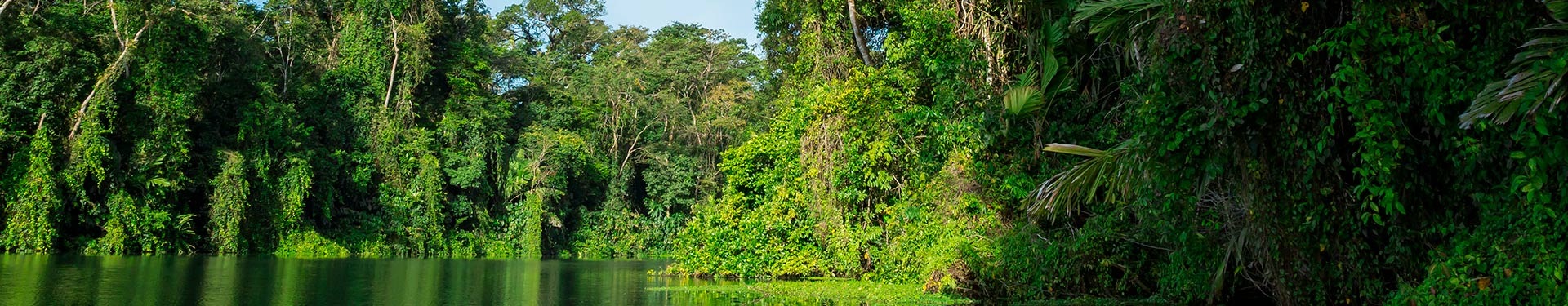 Tortuguero, Arenal e Manuel Antonio