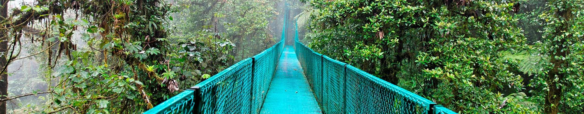 Tortuguero, Caraibi, Arenal, Monteverde e Manuel Antonio