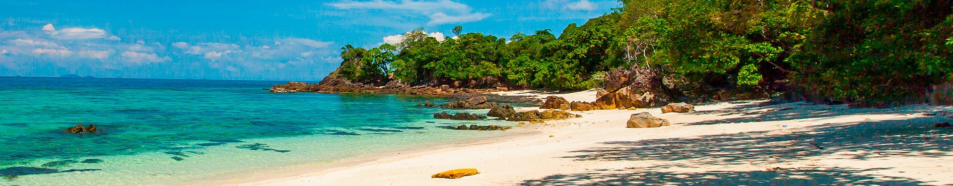 Tortuguero, Caraibi, Arenal, Monteverde, Manuel Antonio e notte a San José