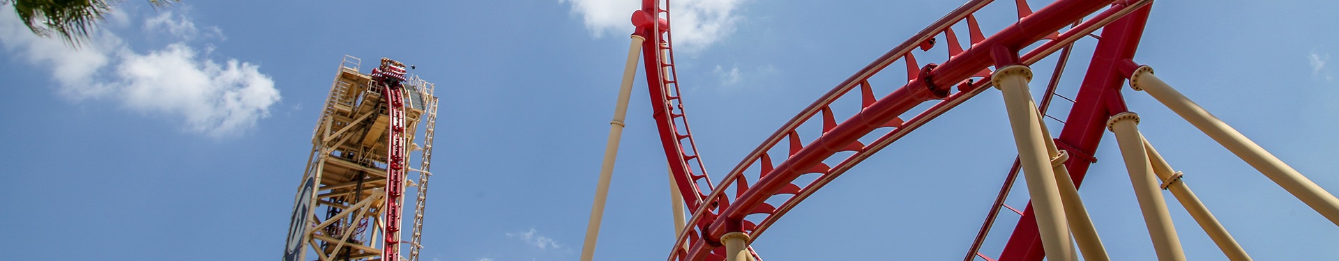 New York, Walt Disney World Orlando e Punta Cana