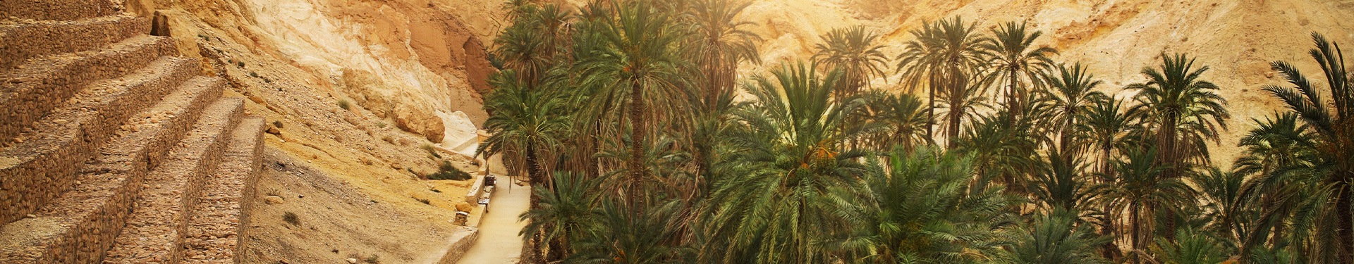Percorso tra Oasi, Mare e Dune