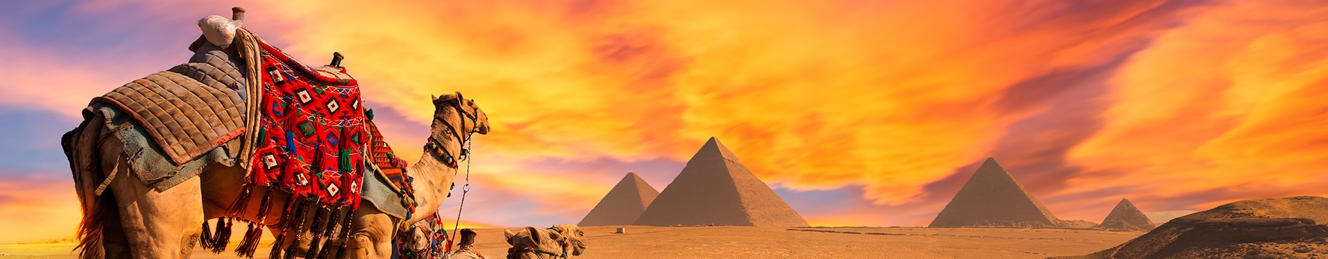 Il Cairo e Crociera 7 notti
