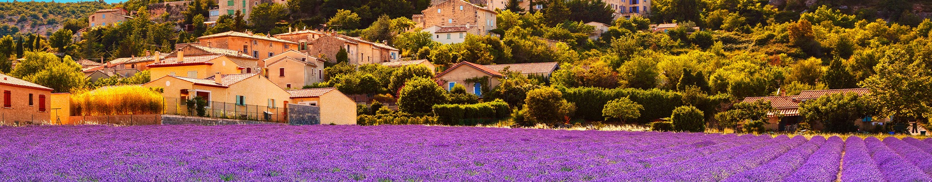Percorso della Lavanda attraverso la Provenza e la Costa Azzurra