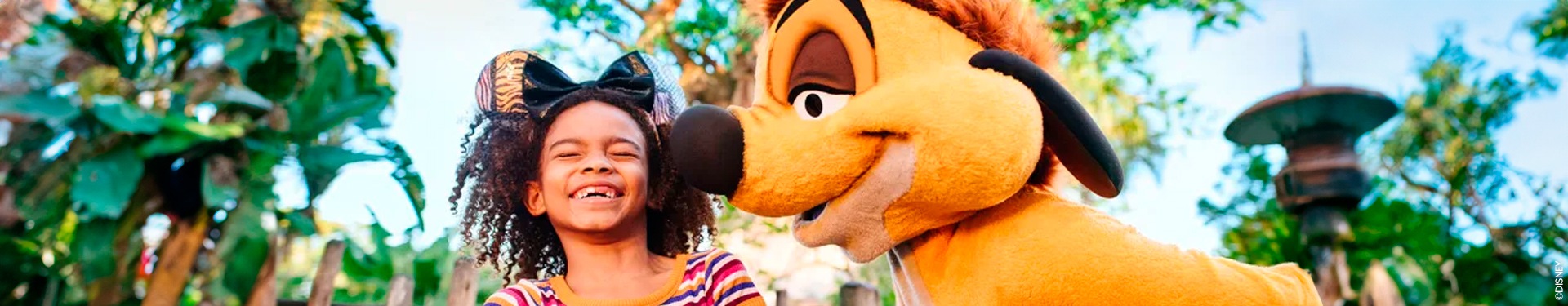 New York, Las Vegas e Walt Disney World Orlando