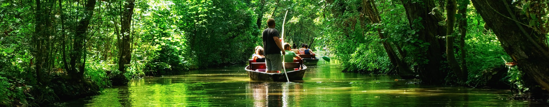 Itinerario attraverso la Nuova Aquitania: Venezia verde (Paludi del Poitou), Poitiers-Futuroscope, Limoges, Angoulême e Bordeaux