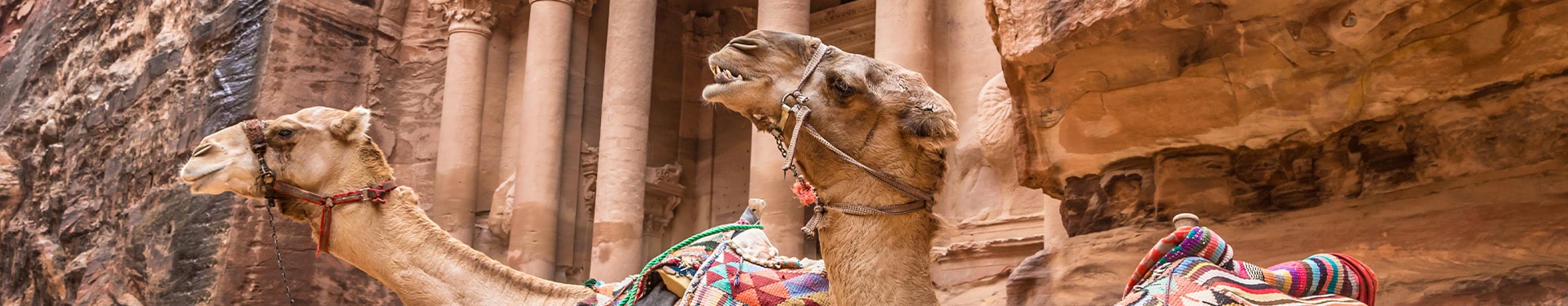 Amman, Petra e Wadi Rum con Mar Morto