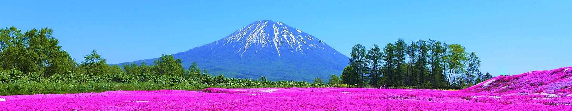 Percorso alla scoperta di Hokkaido e Tokio
