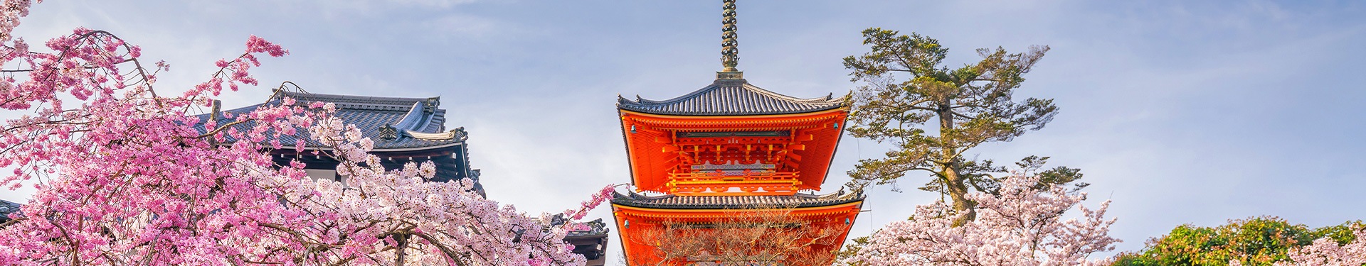 Tokyo, Kyoto, Osaka e Tokyo