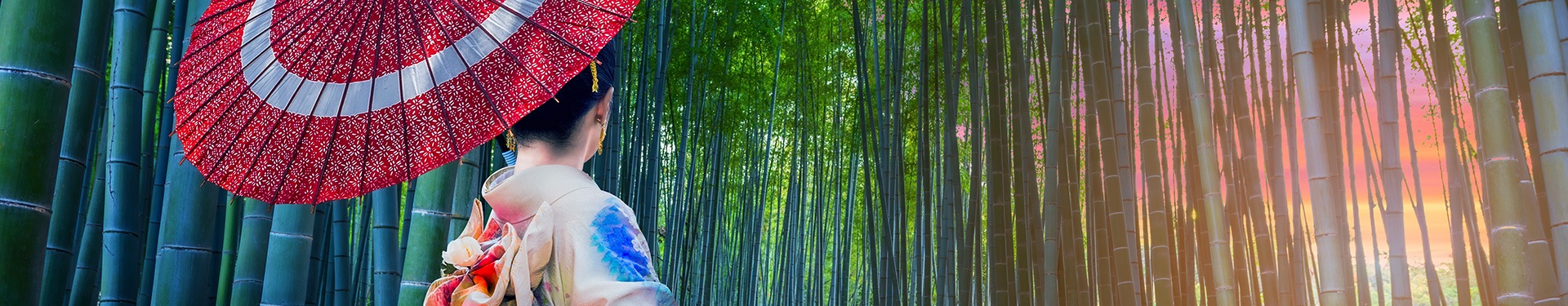Osaka, Kyoto, Tokyo e Figi