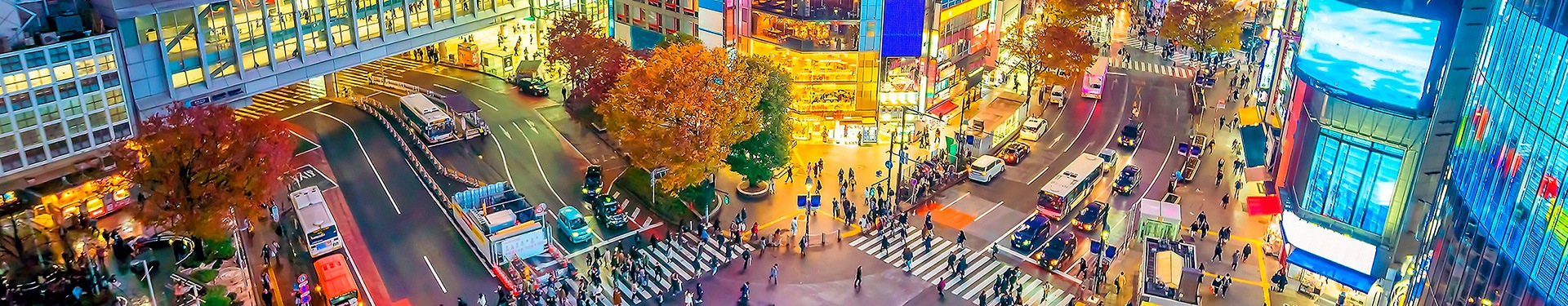 Da Tokyo a Osaka con karting e izakaya