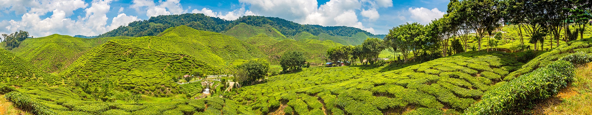 Itinerario dalle Cameron Highlands a Malacca