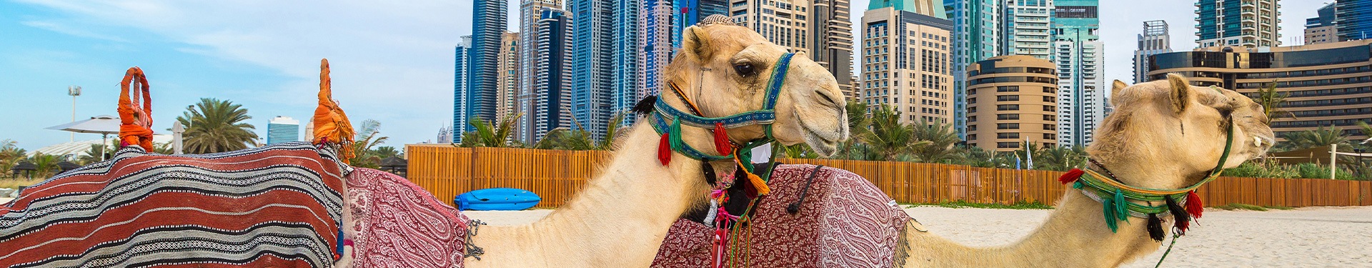 Percorso per i Quattro Emirati Arabi