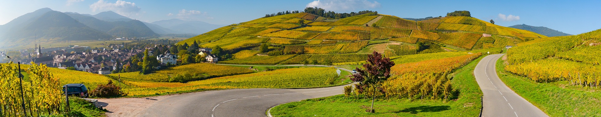 Percorso tra Castelli e Vigneti alsaziani