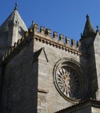 Se Cathedral