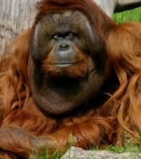 Zoo Berlin