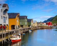 image_day_10