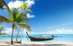 Caraibi
