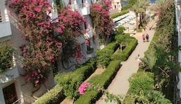Minamark Resort & Spa, For Families & Couples Only