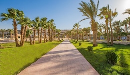Calimera Blend Paradise